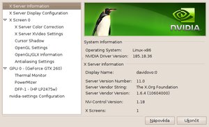 ubuntu 9.10 karmic koala 100 nvidia x server1