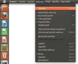 Ubuntu 11.04