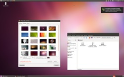 Ubuntu 11.04