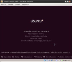 Ubuntu 13.10
