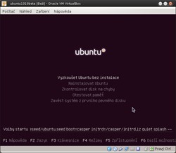 Ubuntu 13.10