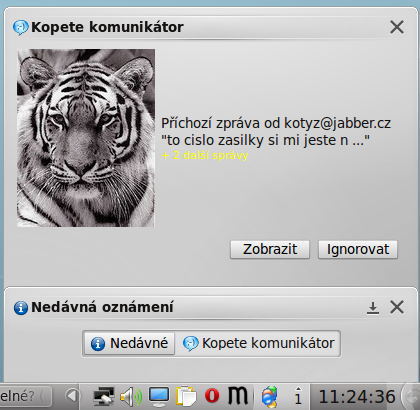 Upozornění v KDE 4.4