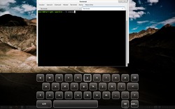 Plasma widget