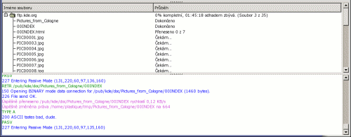 Zprávy
vypisované při přenosu souborů