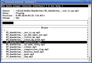 vlc 1: interface ncurses