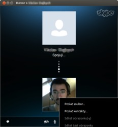 Skype 4.1