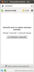 Skype 4.1