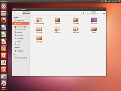 Ubuntu 13.04