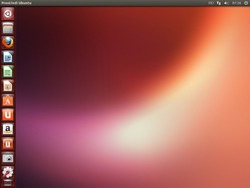 Ubuntu 13.04