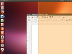 Ubuntu 13.04