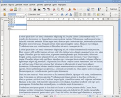 Styly v LibreOffice Writer