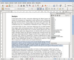 Styly v LibreOffice Writer