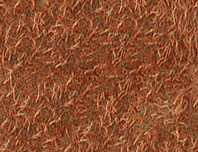 GIMP 19 Textura slupky kiwi