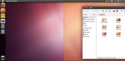 Unity v Ubuntu 11.04