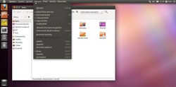 Unity v Ubuntu 11.04