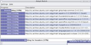 kubuntu 6.10: 02_adept_batch_downloading