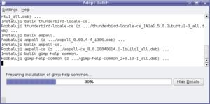 kubuntu 6.10: 03_adept_batch_instalace_jazykove_podpory