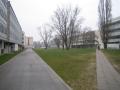 thumbnail. Click to enlarge.