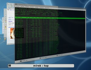kde4.1 kwin flip switch