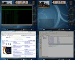 kde4.1 kwin show all desktops