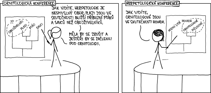 xkcd 867, czech, česky