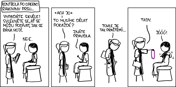 xkcd 996, czech, česky