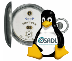 Logo akce 13th Real-Time Linux Workshop