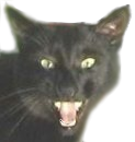MiPal
