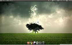 Ubuntu 10.10