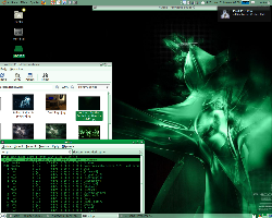 'green linux' - gnome 2.26.1 @ ubuntu 9.04