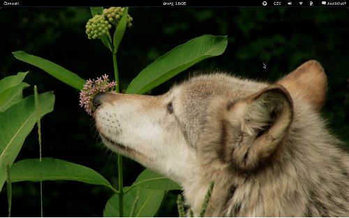 Gnome Shell @ Laptop