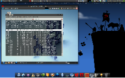 2xdesktop