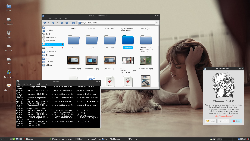 Salix XFCE 14.0