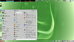 Mint 17.1