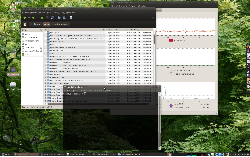 Gnome 2.24+Compiz+Dust