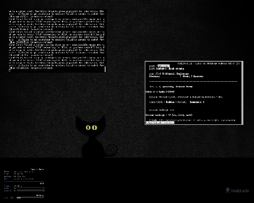 evilwm + conky