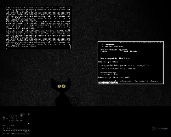 evilwm + conky