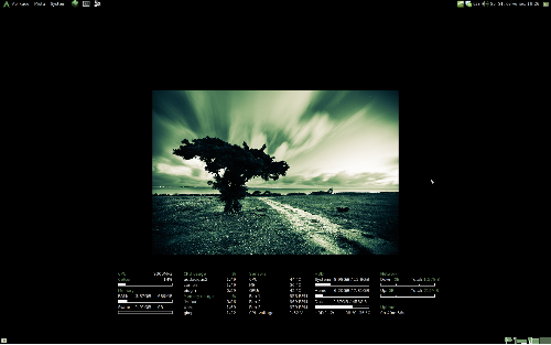 Arch Linux + Gnome 2.30.2, Emerald, Compiz