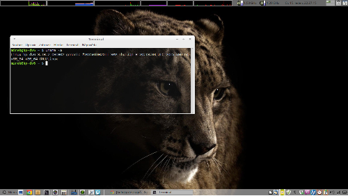 Linux Mint 17.1 MATE