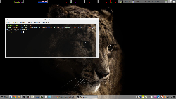 Linux Mint 17.1 MATE