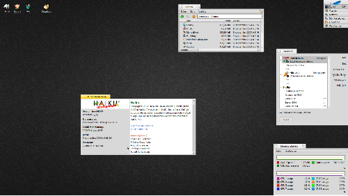 Haiku OS