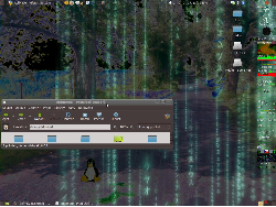 destroyet ubuntu 9.04 zpět