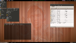 Xubuntu 12.04 + Compiz podruhé