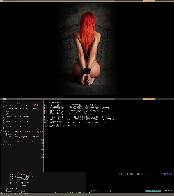 XMonad + RedHead