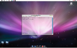 Ubuntu OS X