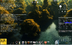 Conky,screenlets,cairo-dock water plugin (: