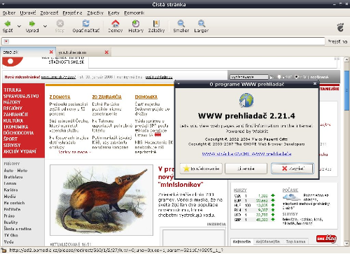 Epiphany + webkit