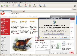 Epiphany + webkit