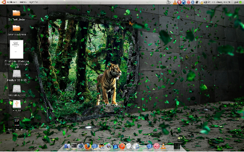 Ubuntu 8.10 (po čtvrt roce:)