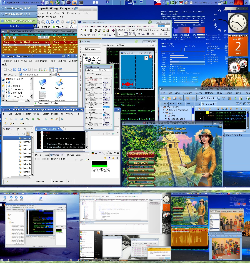 Gnome,Compiz,Conky,VMWare,Wine,DosBox